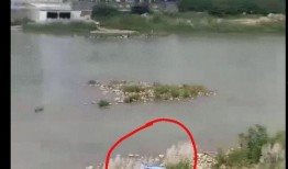 爆料绵阳最新跳河事件